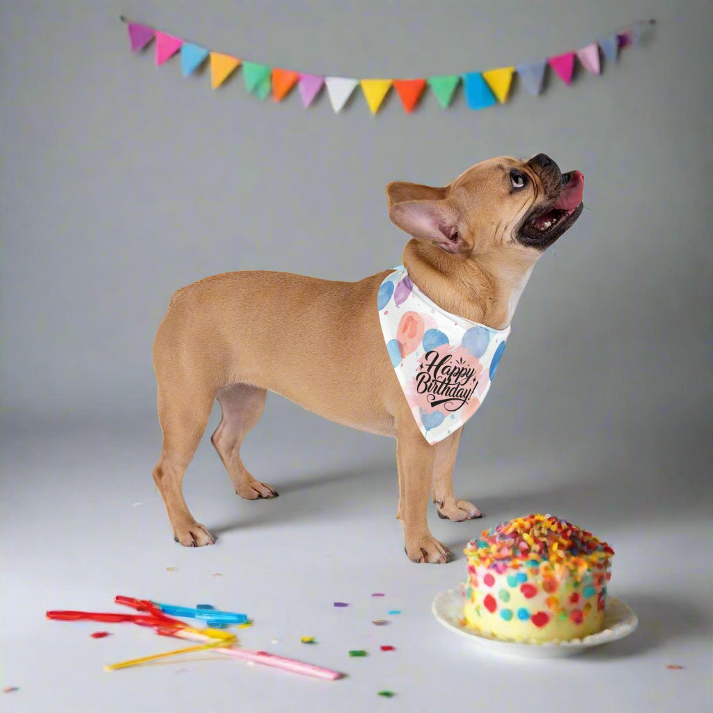Happy Birthday Baloons Pet Bandana