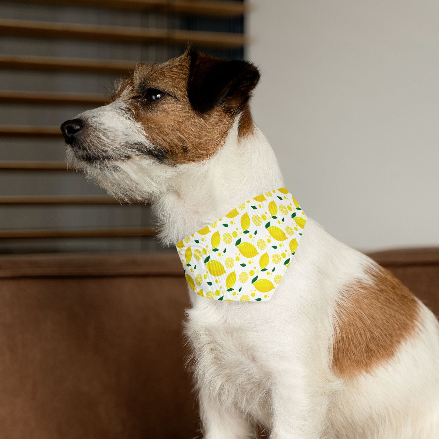 Bright Lemon Pet Bandana Collar