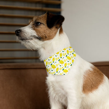 Bright Lemon Pet Bandana Collar