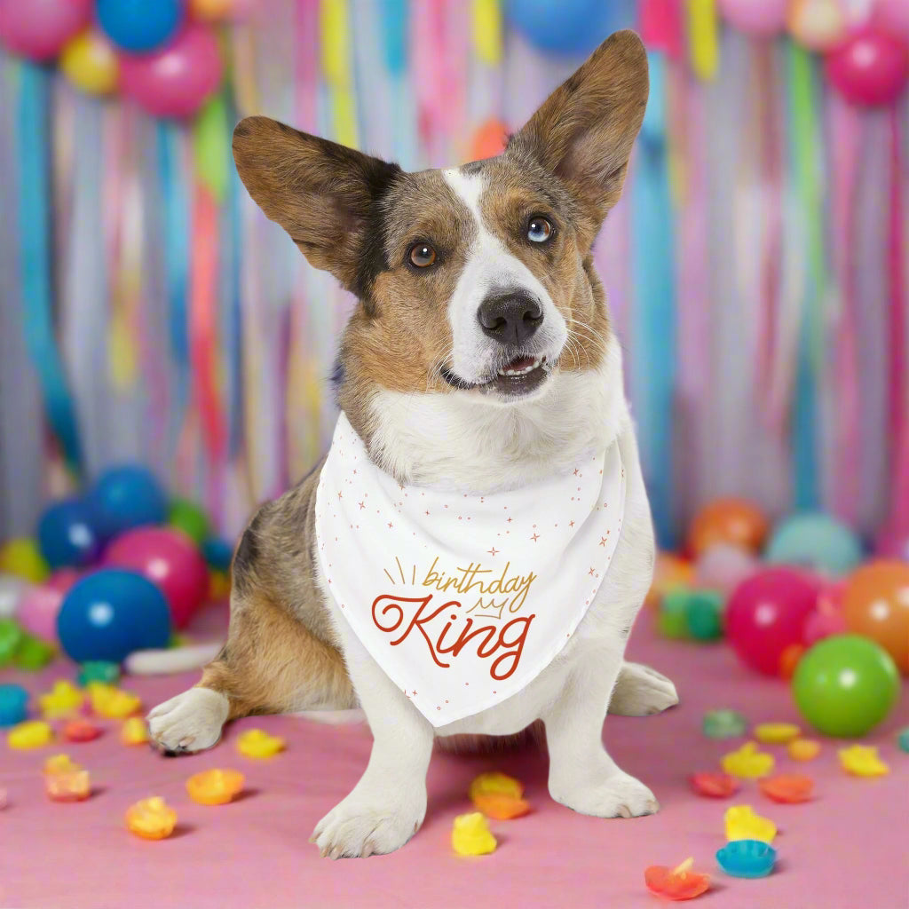 Birthday King Pet Bandana Collar