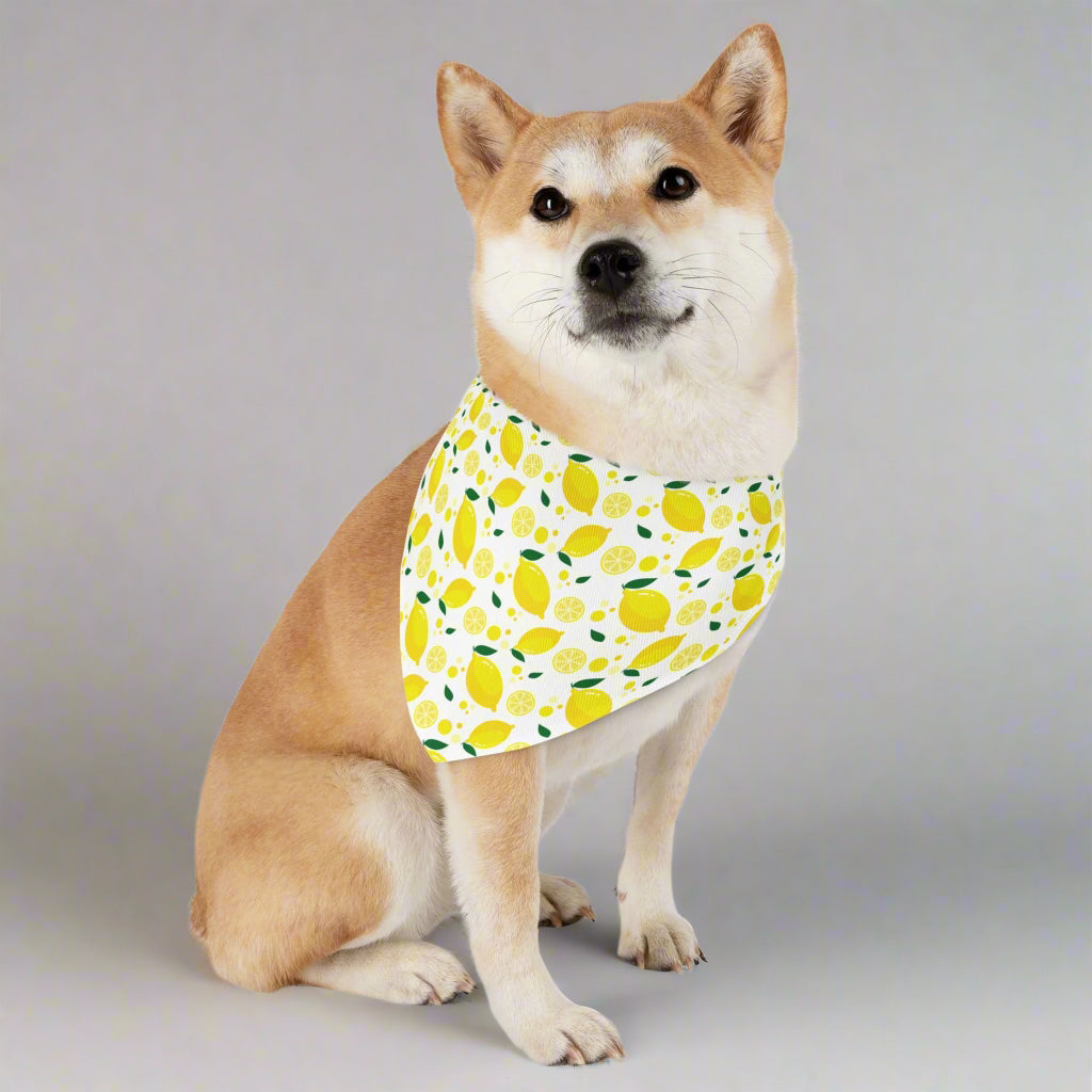 Bright Lemon Pet Bandana Collar