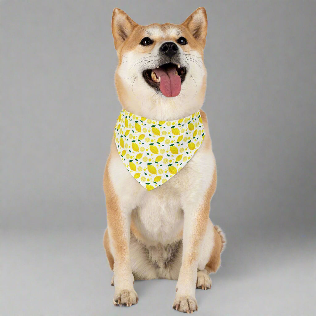 Bright Lemon Pet Bandana Collar