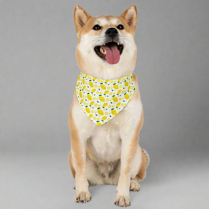 Bright Lemon Pet Bandana Collar