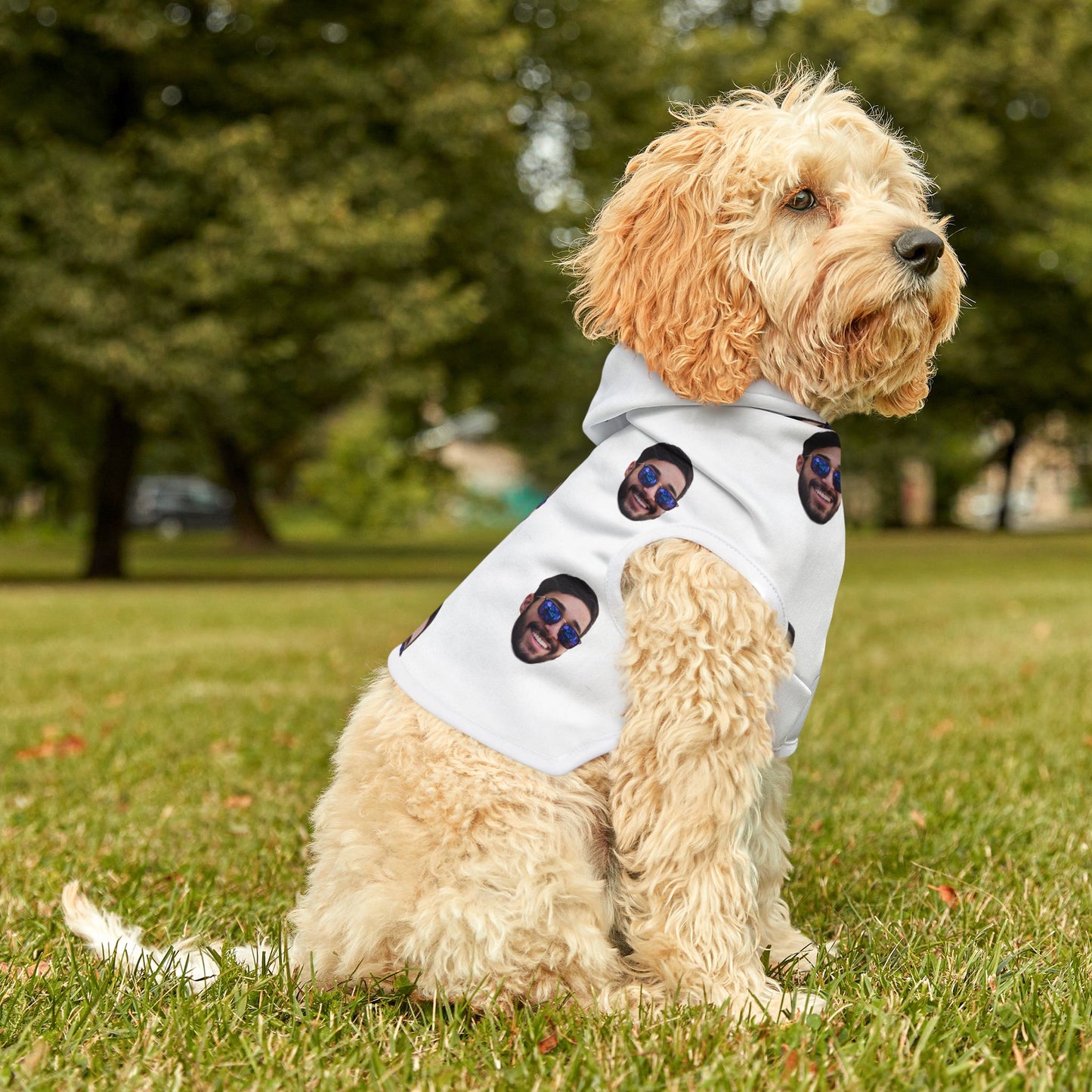 Personalized Pet Hoodie - Face print