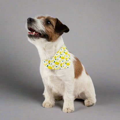 Bright Lemon Pet Bandana Collar