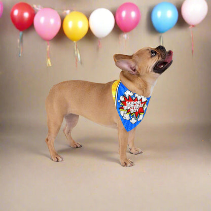 Super Birthday Boy Pet Bandana