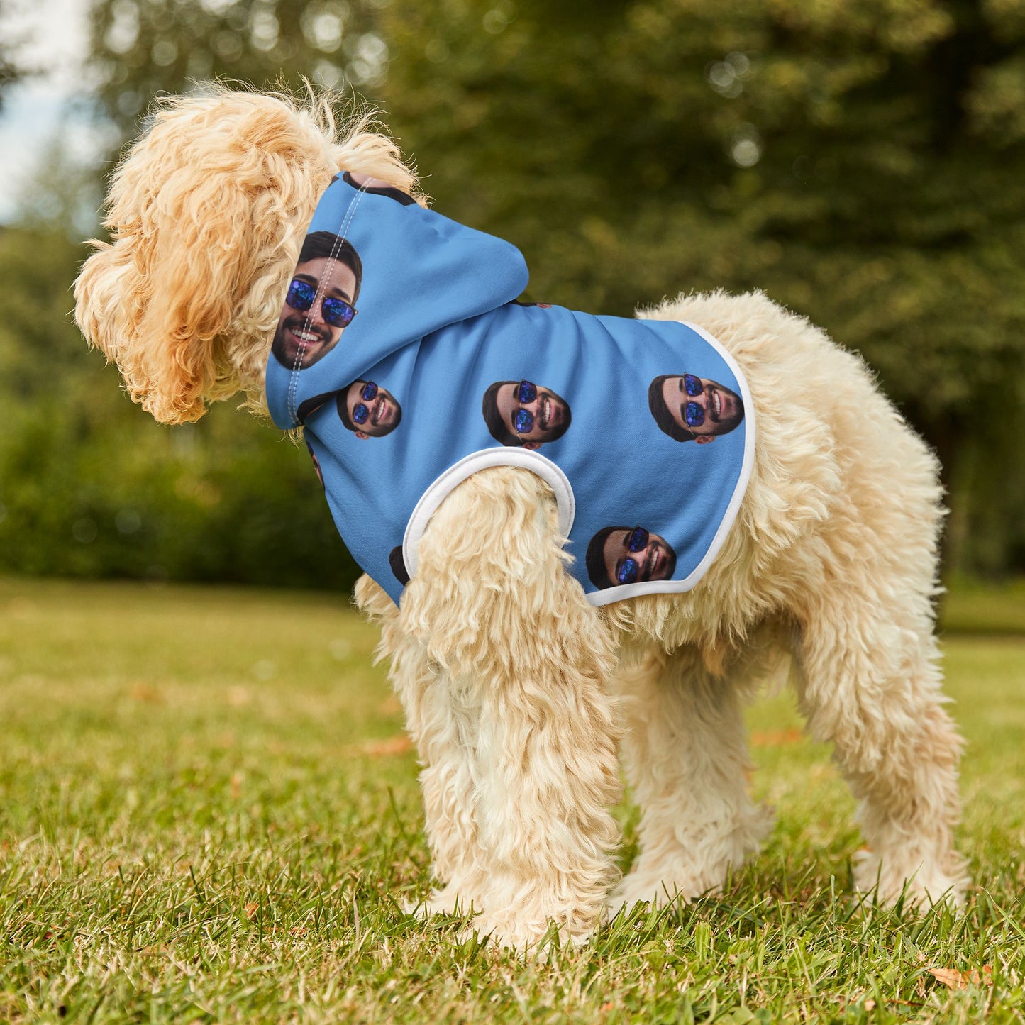 Personalized Pet Hoodie - Face print