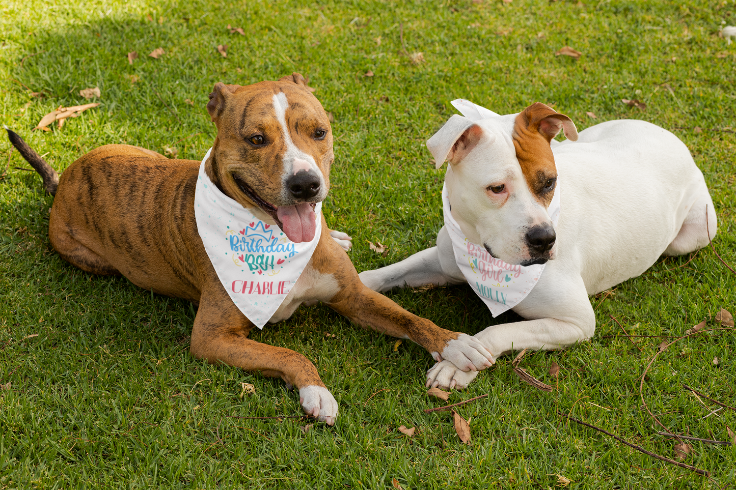 Birthday Girl Personalized Pet Bandana