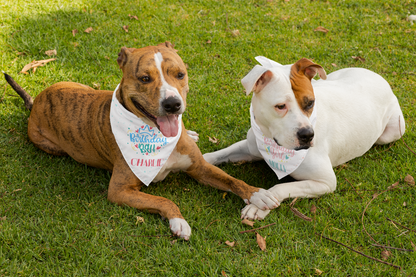 Birthday Girl Personalized Pet Bandana