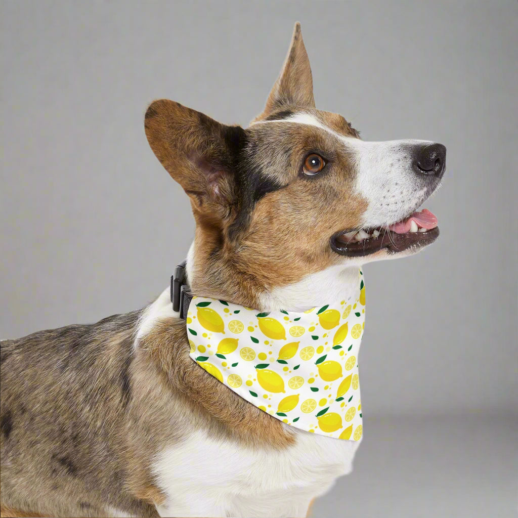 Bright Lemon Pet Bandana Collar