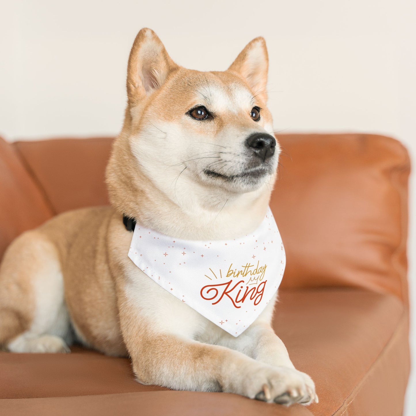 Birthday King Pet Bandana Collar