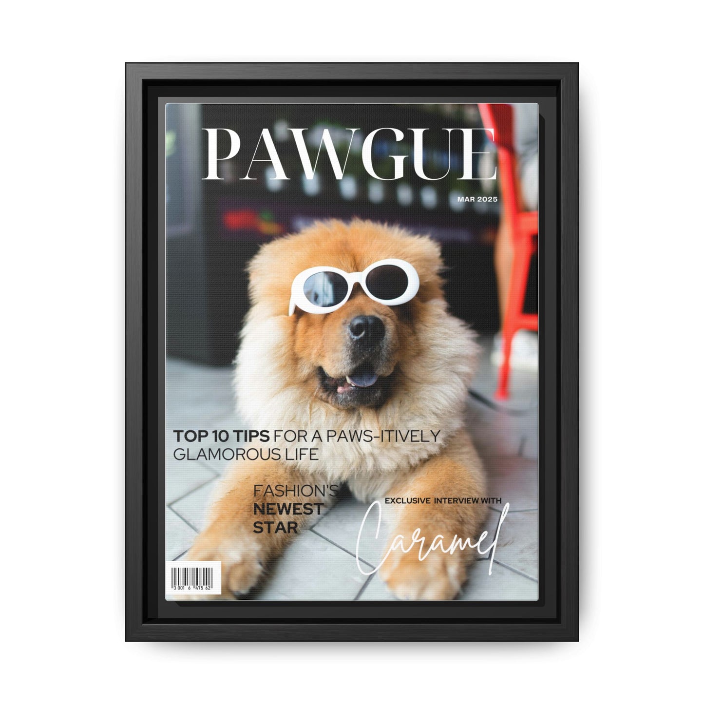 Pawgue Magazine Pet Portrait