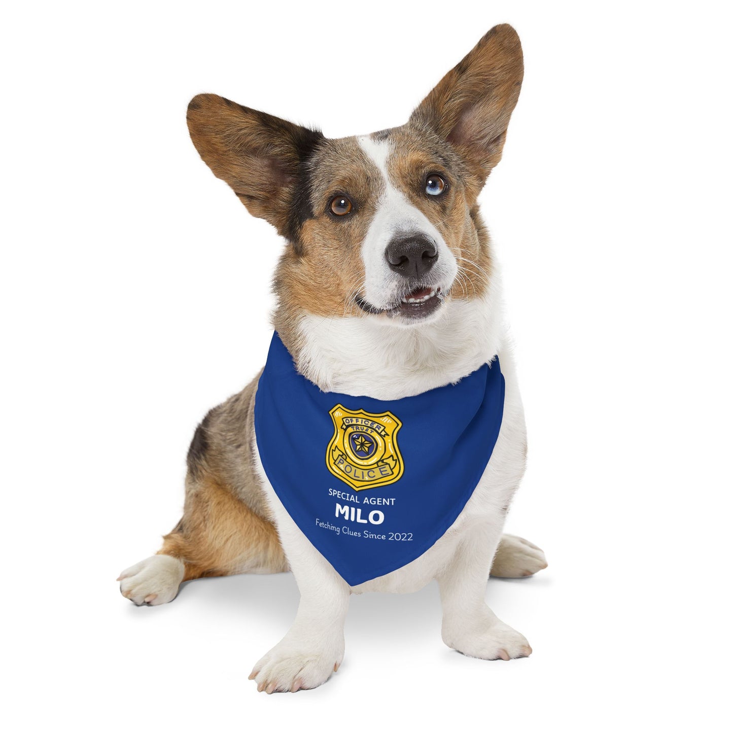 Personalized Pet Bandana Collar - Special Agent