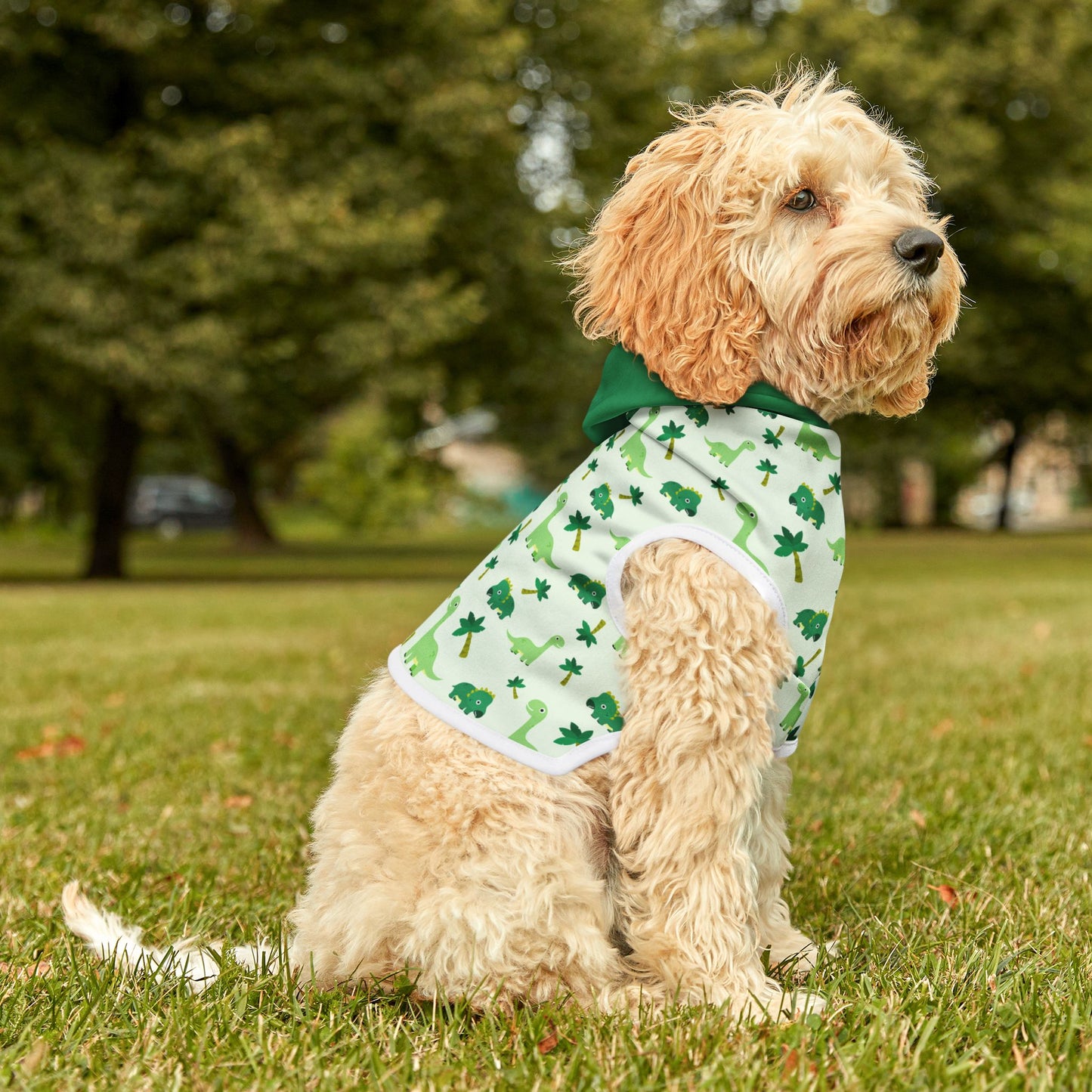 Dinosaur Print Pet Hoodie