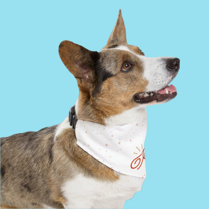 Birthday King Pet Bandana Collar