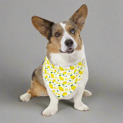 Bright Lemon Pet Bandana Collar