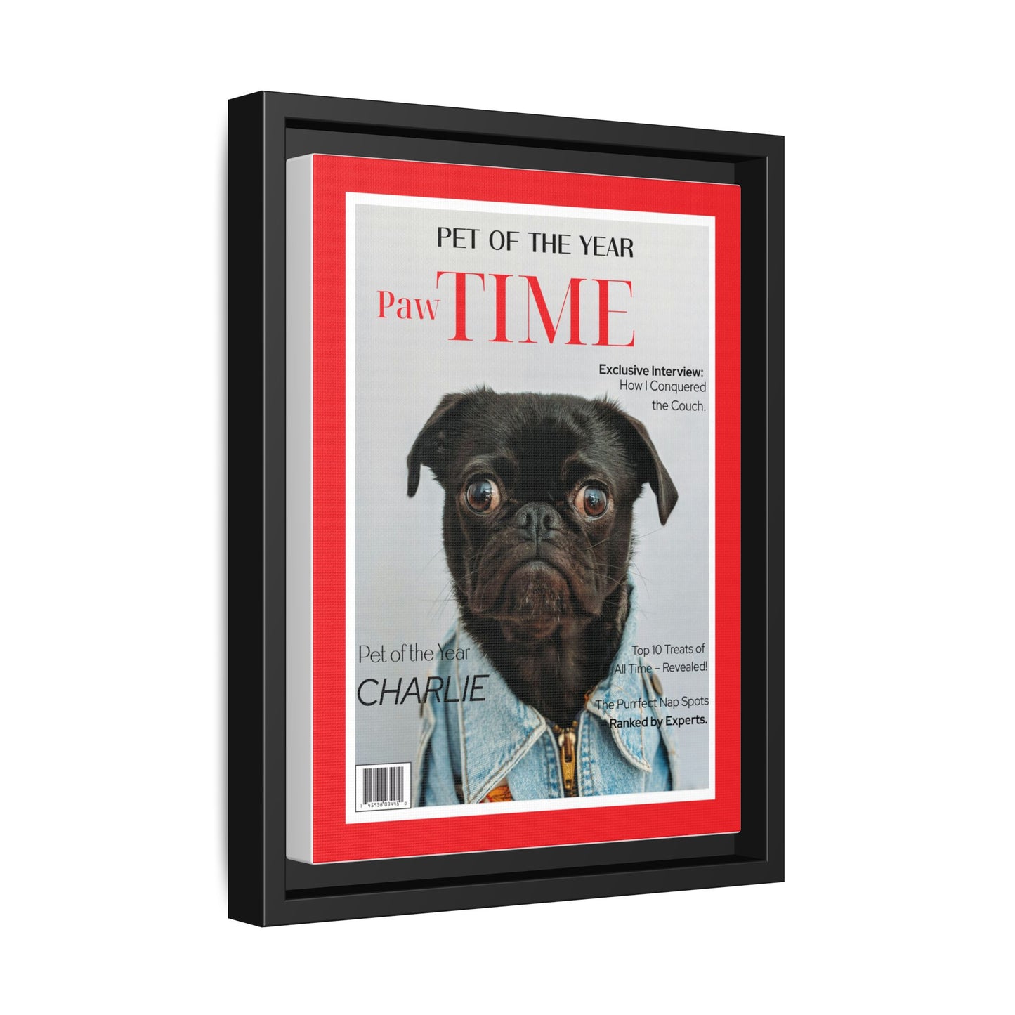 PawTIME Magazine Pet Portrait