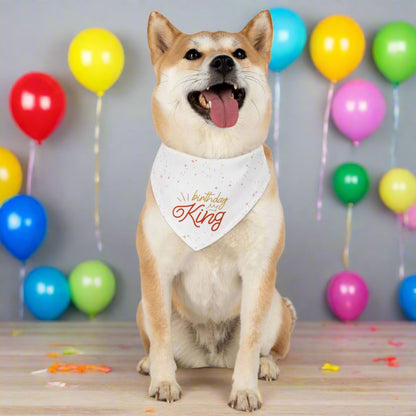 Birthday King Pet Bandana Collar