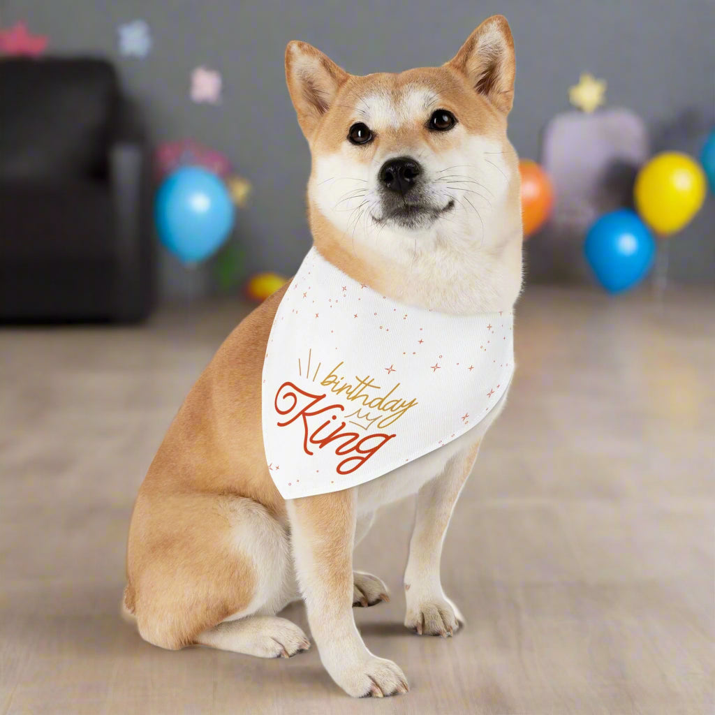 Birthday King Pet Bandana Collar
