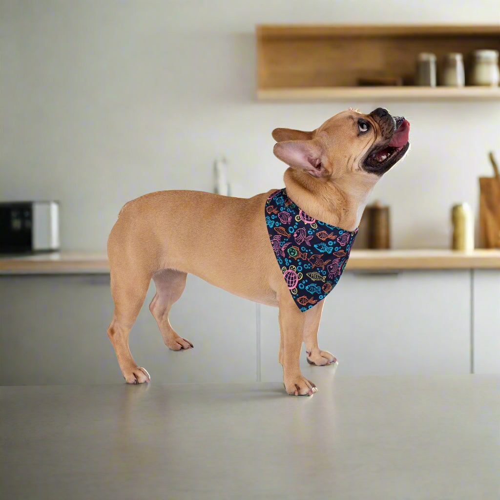 Colorful Sea Life Pet Bandana
