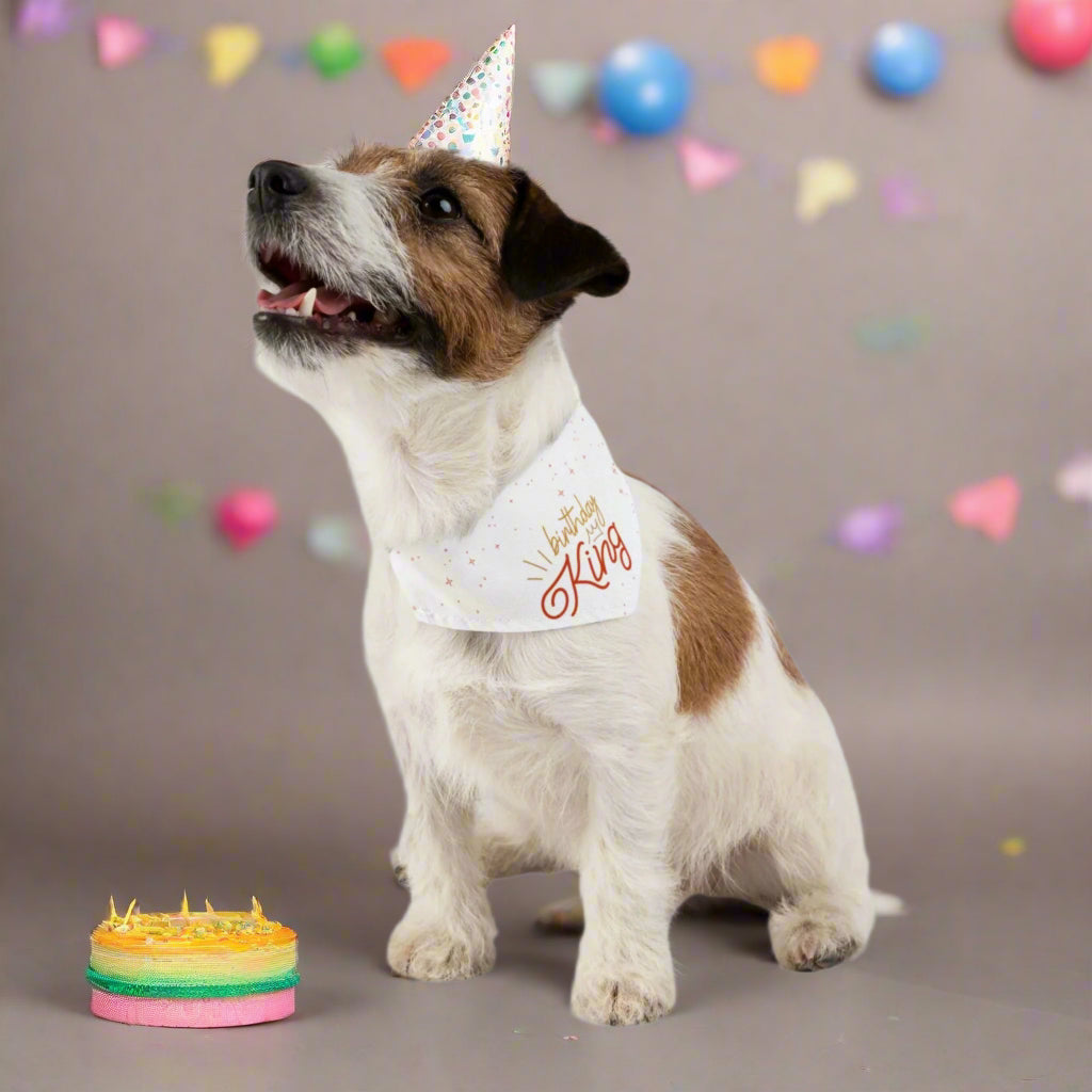 Birthday King Pet Bandana Collar