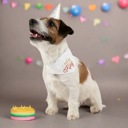 Birthday King Pet Bandana Collar