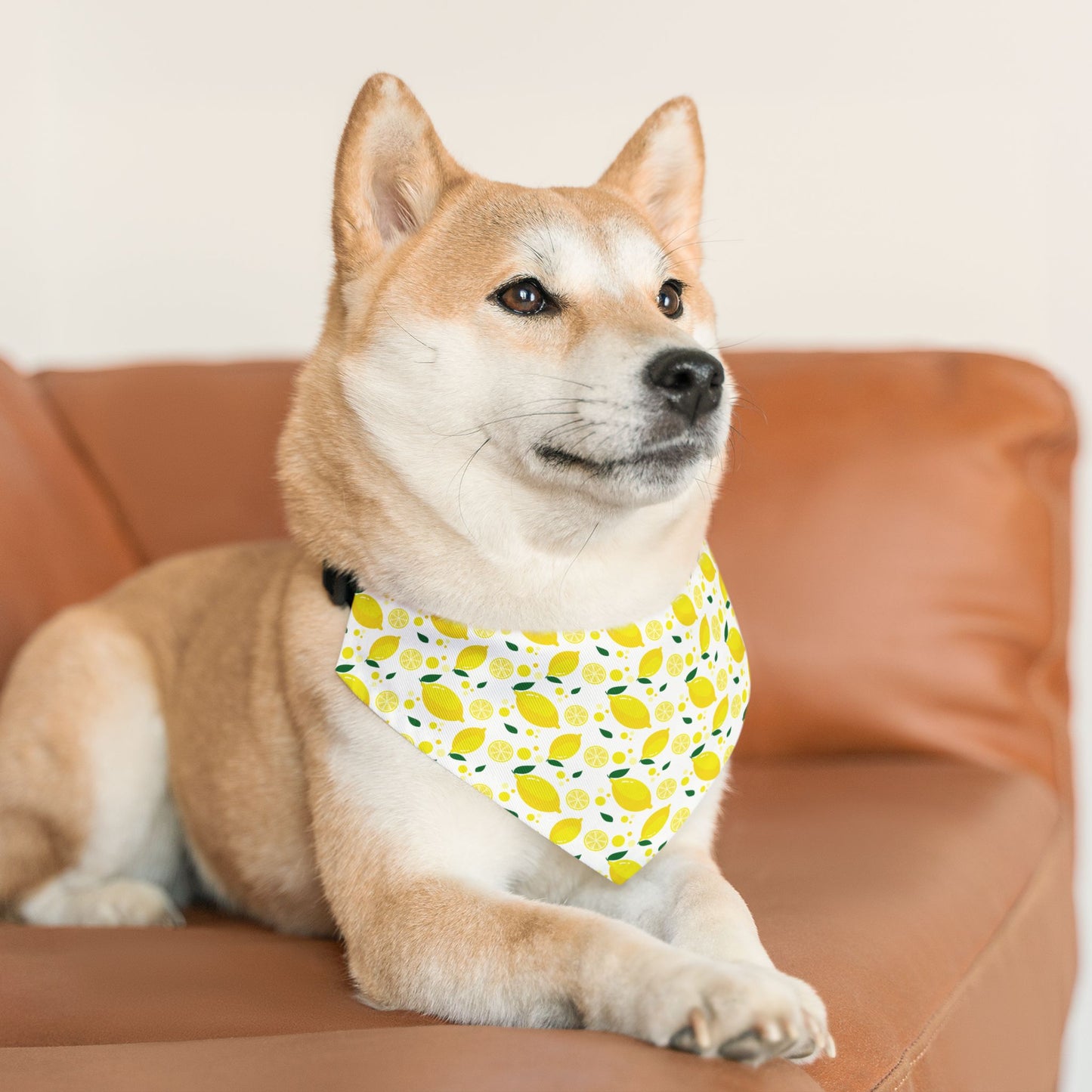Bright Lemon Pet Bandana Collar