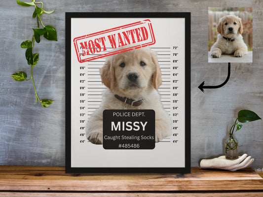 Most Wanted - Mugshot